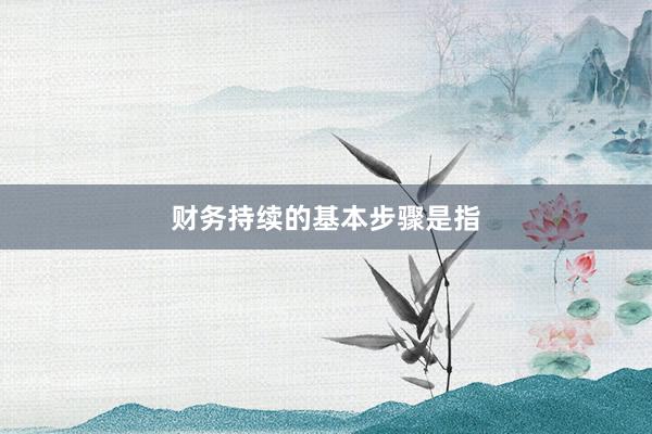 财务持续的基本步骤是指