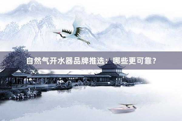自然气开水器品牌推选：哪些更可靠？