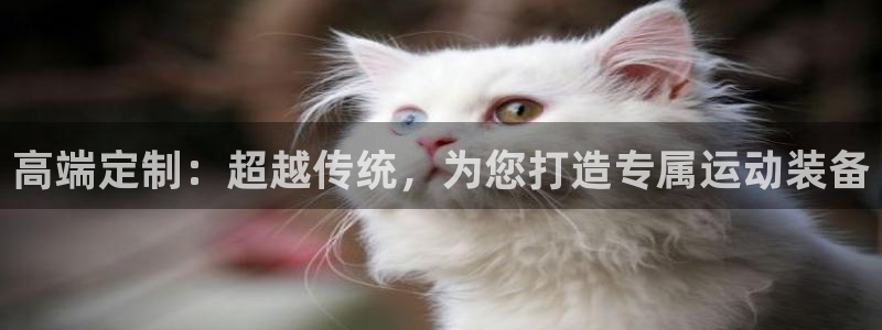 好博体育官方正版app集团官网首页:高端定制:超越传统,为您