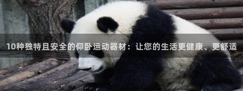 好博体育官网下载软件:10种独特且安全的仰卧运动器材:让您的